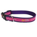 1-1/16" Designer Series Collar w/ Classic Webbing - Large